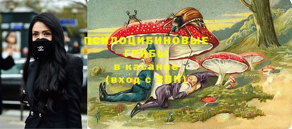 СК Елабуга