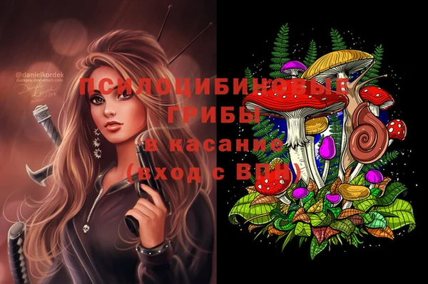 мяу мяу мука Алексин