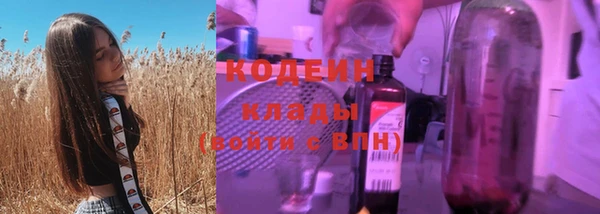 хмурый Ельня