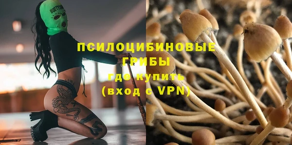 ECSTASY Заводоуковск