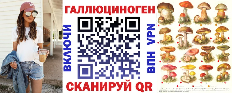 где купить наркотик  Сухиничи  Галлюциногенные грибы Psilocybe 